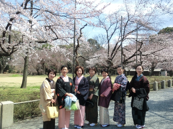 2046-12．4.7二条城着物で観桜会　.jpg